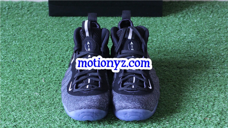 Nike Air Foamposite One Pro Tech Pleece